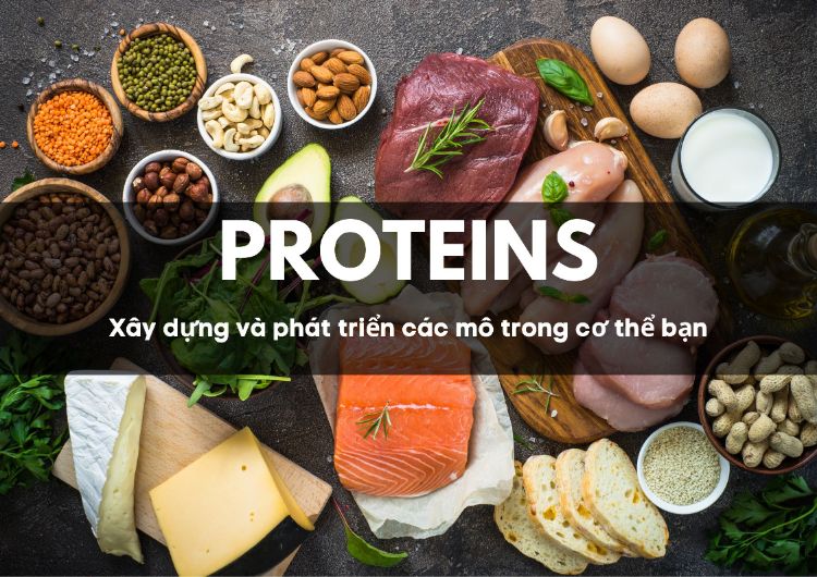 Quy tắc nạp protein mỗi ngày để giảm cân